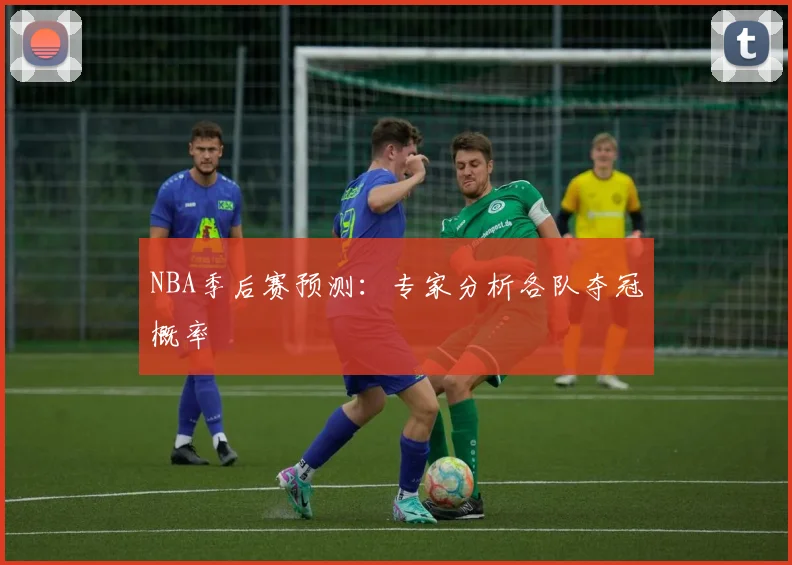 NBA季后赛预测：专家分析各队夺冠概率