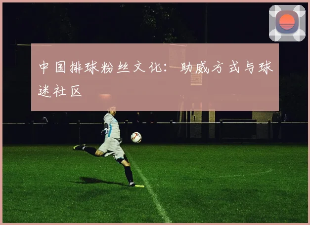 中国排球粉丝文化：助威方式与球迷社区