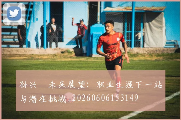 孙兴慜未来展望：职业生涯下一站与潜在挑战_20260606153149