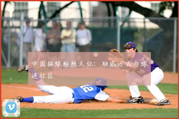 中国排球粉丝文化：助威方式与球迷社区
