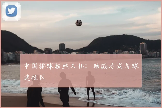 中国排球粉丝文化：助威方式与球迷社区